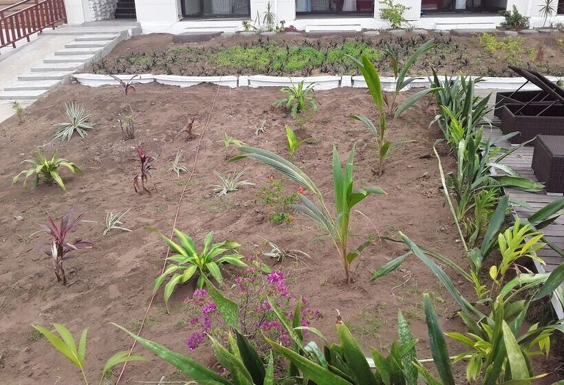 ホテル Nadi Fancy