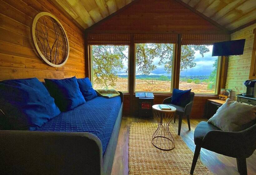 酒店 The Alexander At Creek Road