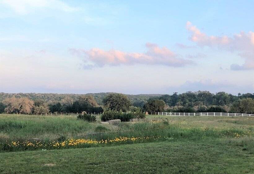 酒店 The Alexander At Creek Road