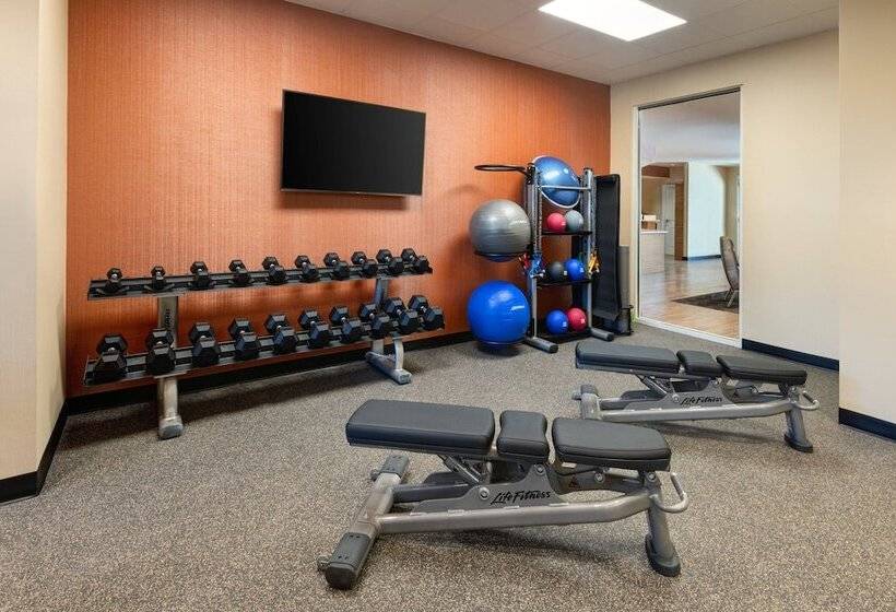 בית מלון כפרי Towneplace Suites Atlanta Lawrenceville