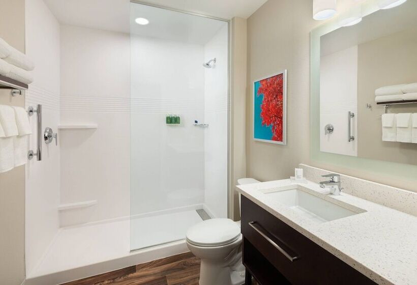 בית מלון כפרי Towneplace Suites Atlanta Lawrenceville