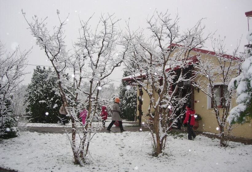 ホテル Villa Anthemia