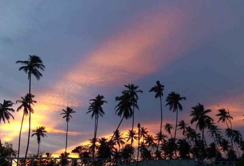 酒店 Zanzibar Bahari Villas