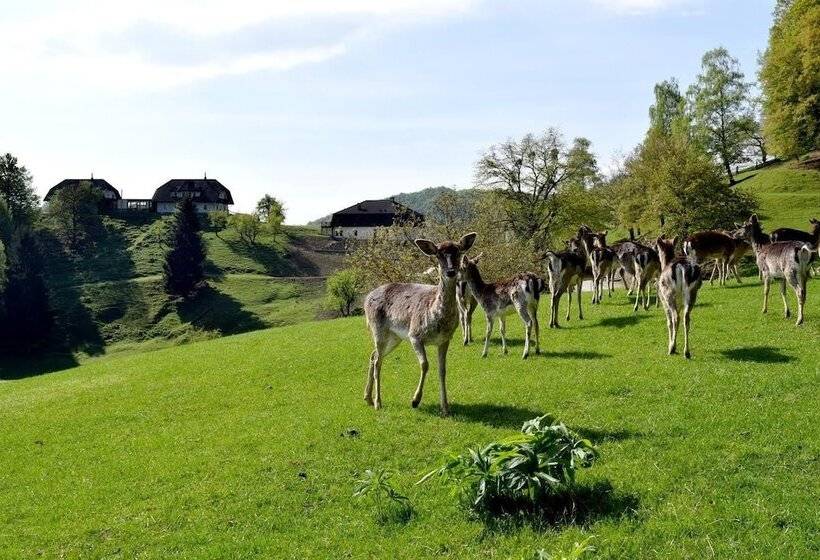 پانسیون Guesthouse Jelenov Greben