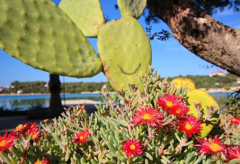 פנסיון Rooms Marijana