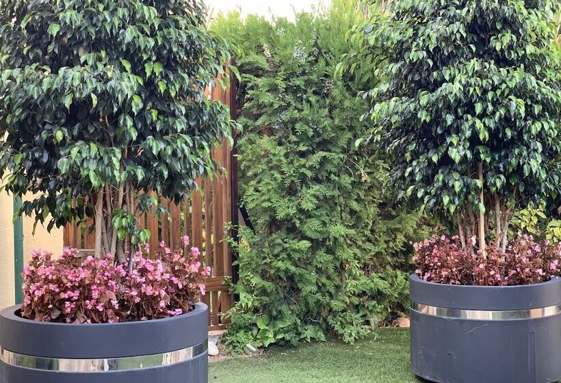 Пансион Tgs & Rumex Suites Banus