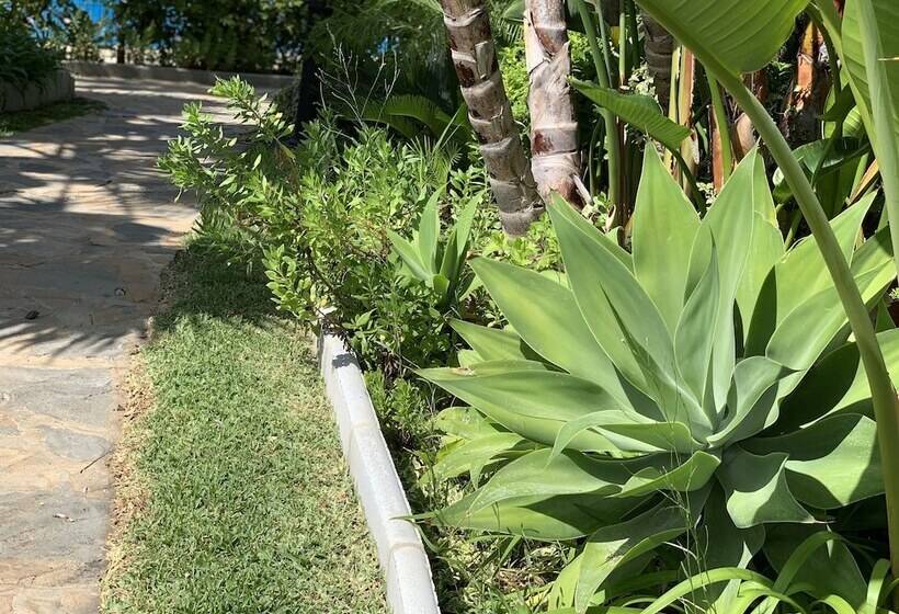 Пансион Tgs & Rumex Suites Banus