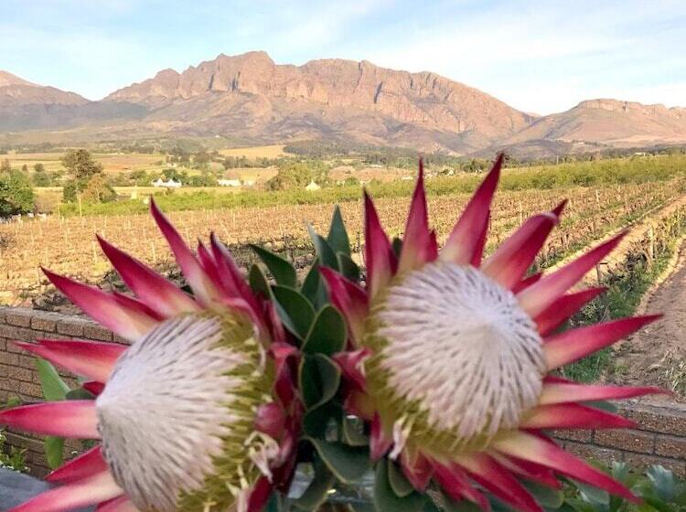 بنسيون Wellington Country House