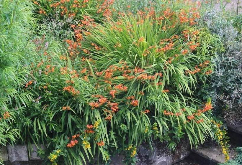 住宿加早餐  Bryncoch