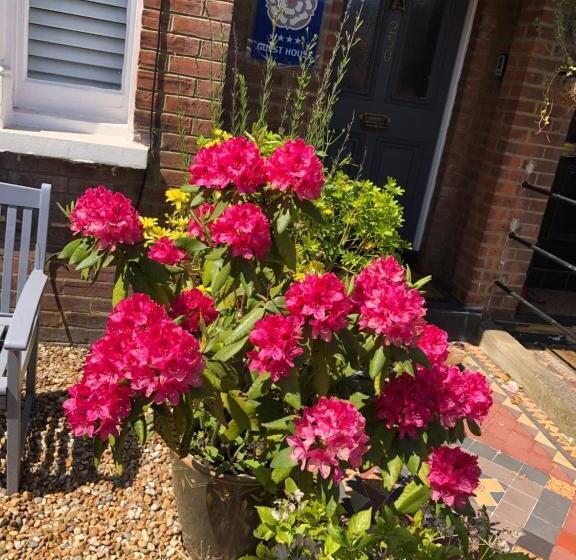 צימר Carena House