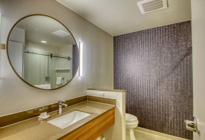 ホテル Fairfield Inn & Suites By Marriott Appleton