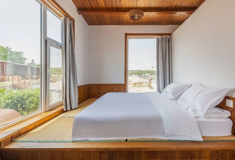 酒店 Floral  Qingdao Shark Stone