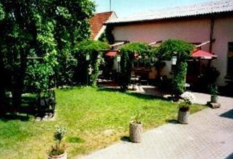 Отель Gasthaus & Pension Zum Schwarzen Adler