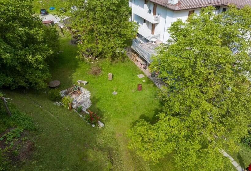 Отель Park Oasi