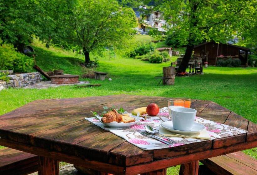 Отель Park Oasi