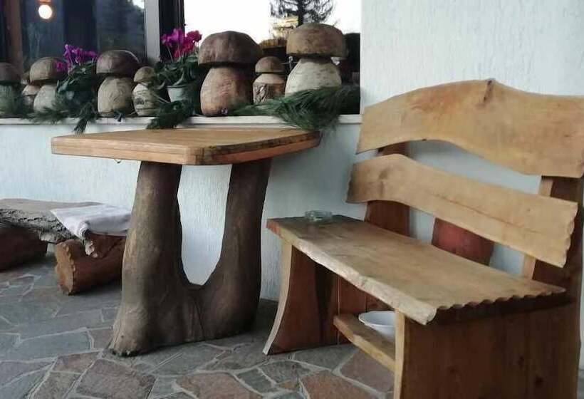 Отель Park Oasi