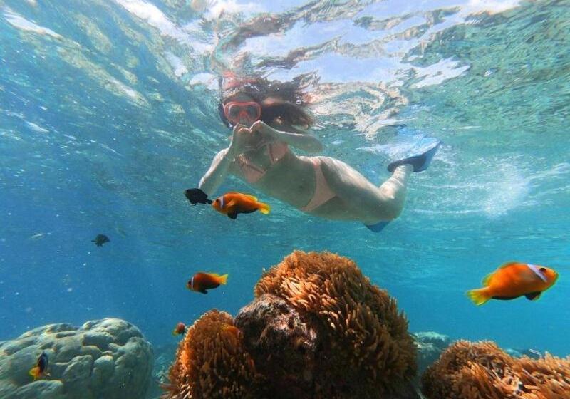 هتل Rosemary Boutique