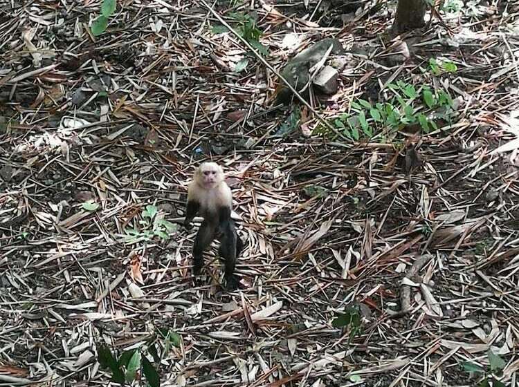 ホテル Sun & Moon Paradise