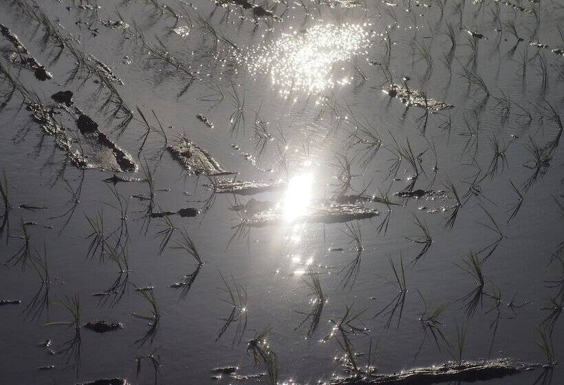 بنسيون Bishamon House