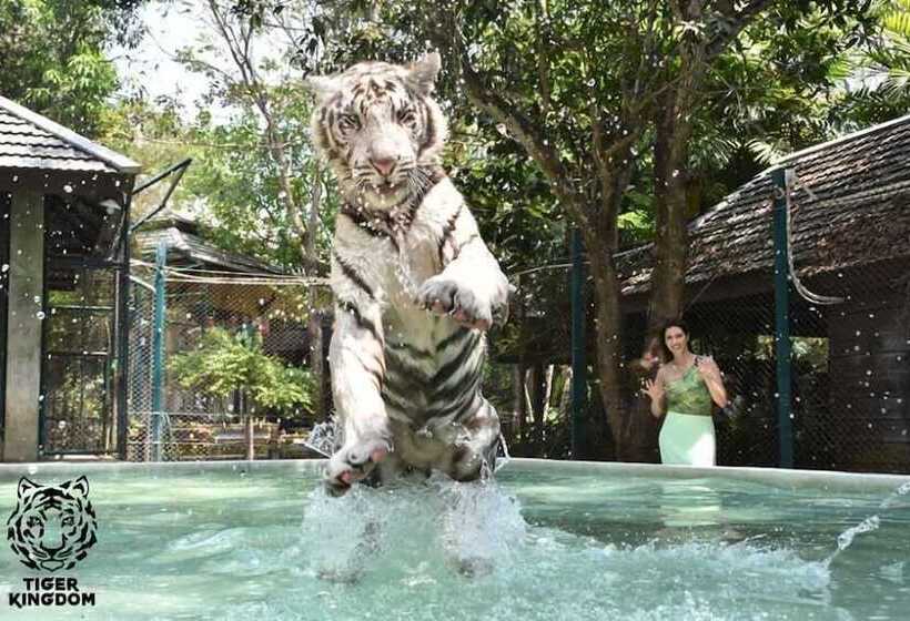 펜션 Chill Vibe Hostel