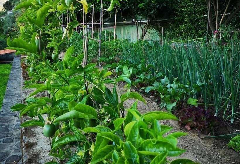 펜션 Kintal Do Douro