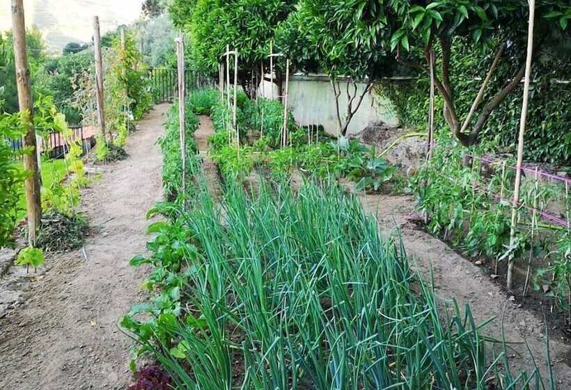 펜션 Kintal Do Douro