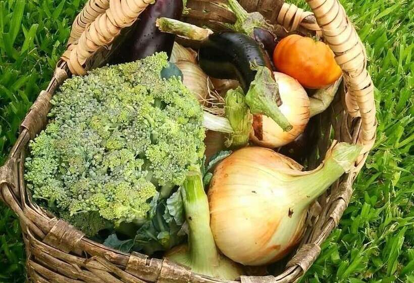 펜션 Kintal Do Douro