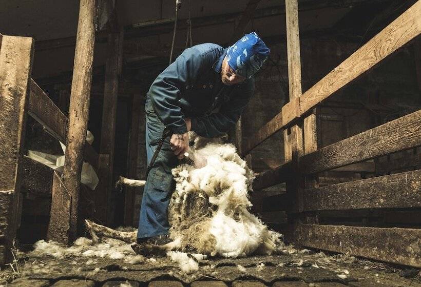 پانسیون Litlabjarg Guesthouse