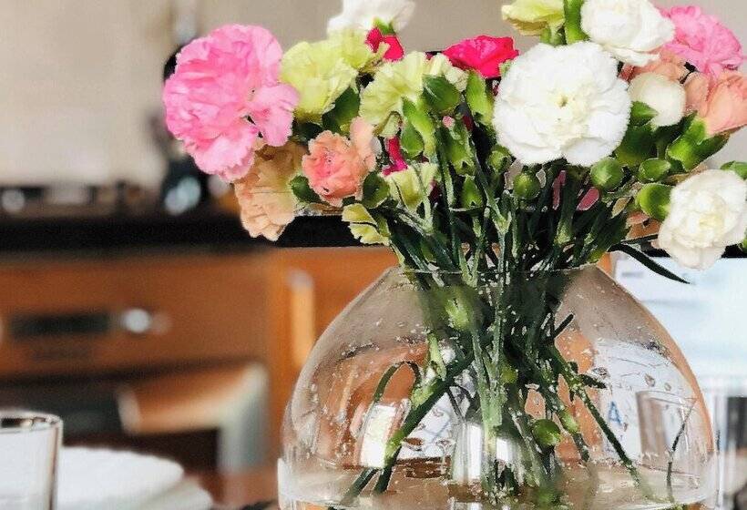 بنسيون Mhost Bronowice