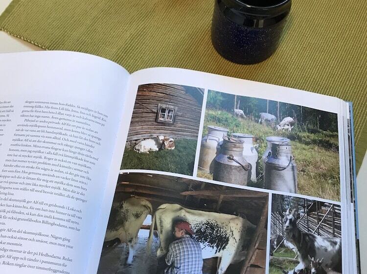 åsens Vandrarhem Uvboet   Hostel