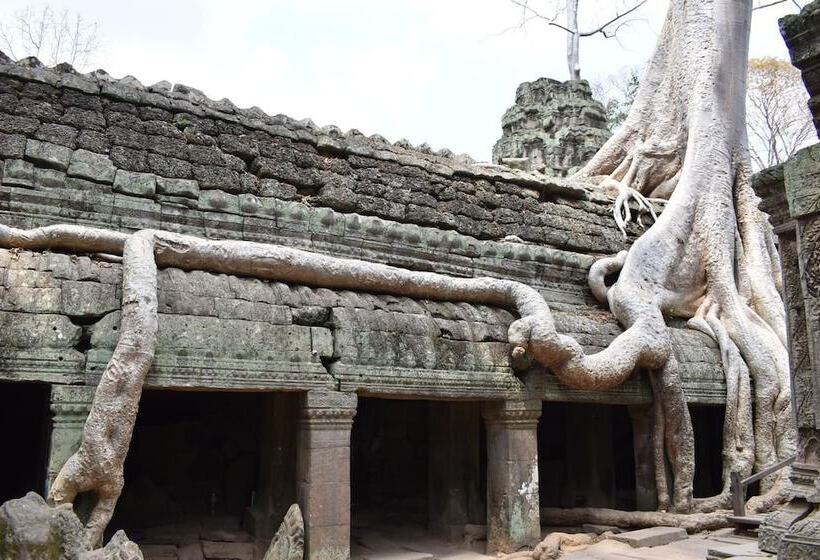 333 Hostel, Siem Reap