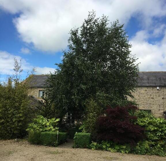 مبيت وإفطار Hemples Lodge