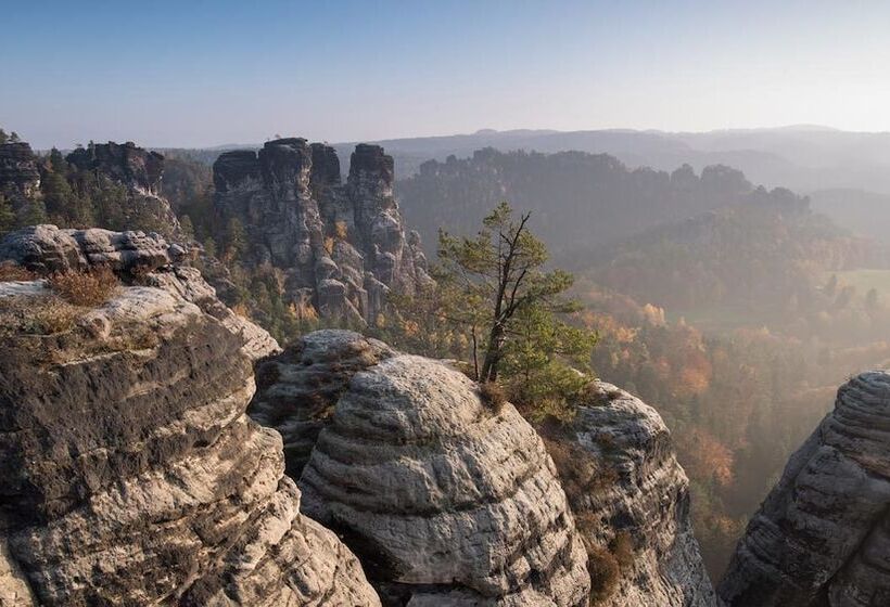 酒店 Pension Am Weinberg