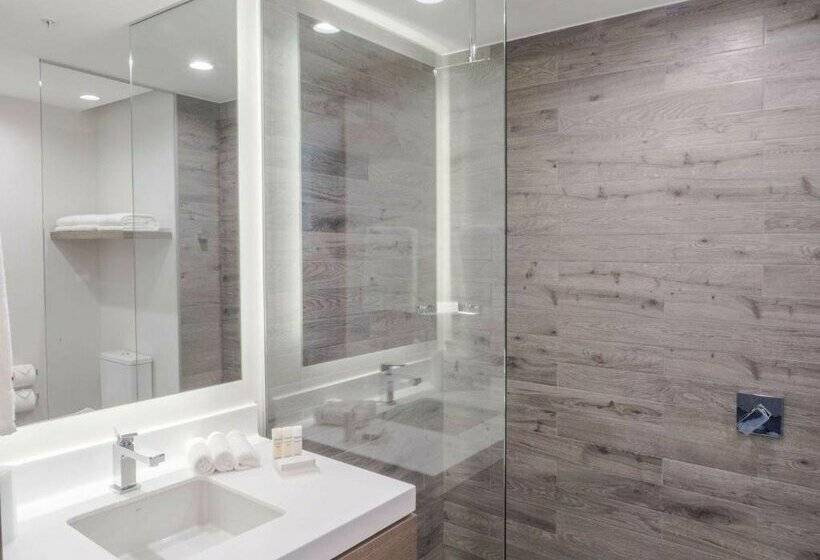 Отель Hilton Garden Inn Santa Ana San Jose