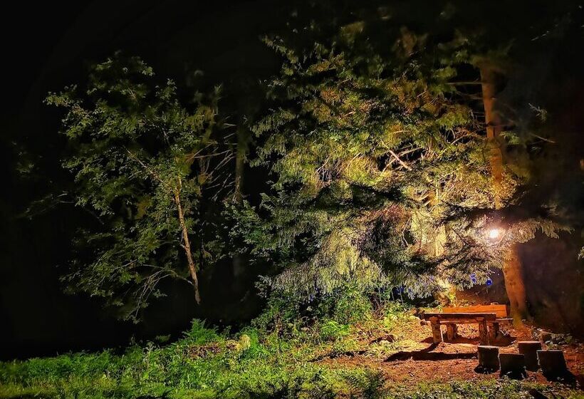 ホテル Kotit Ayder Bungalov & Restaurant