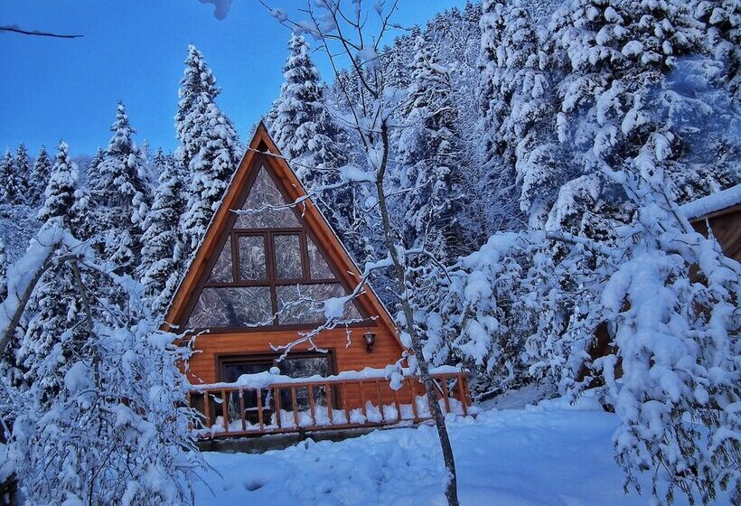 ホテル Kotit Ayder Bungalov & Restaurant