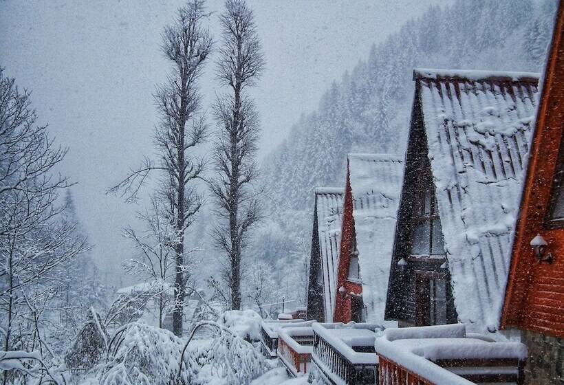 ホテル Kotit Ayder Bungalov & Restaurant