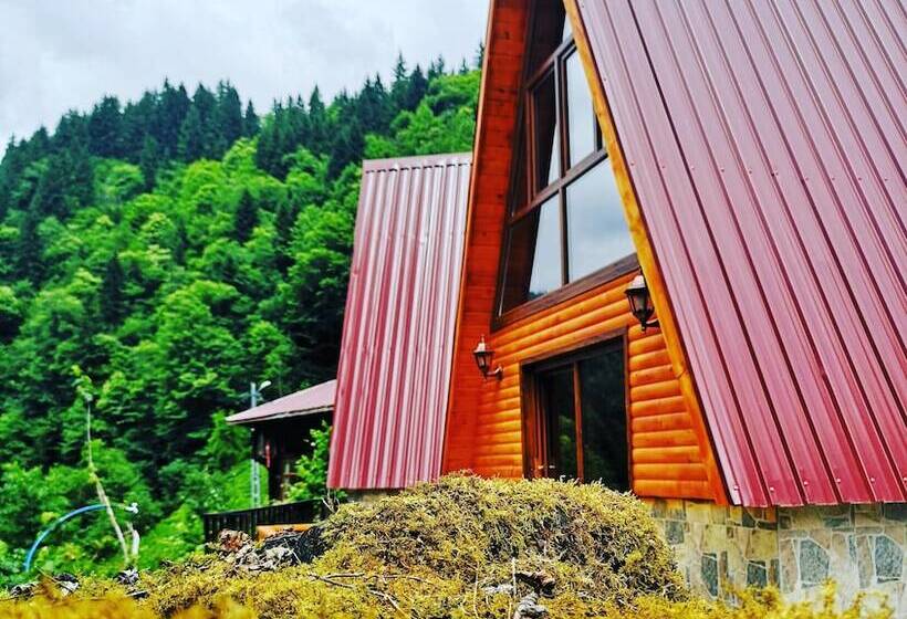 ホテル Kotit Ayder Bungalov & Restaurant