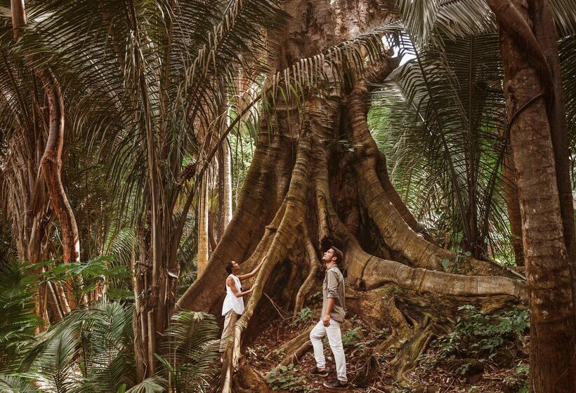 호텔 One&only Mandarina