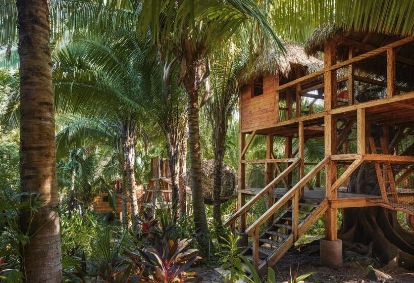 호텔 One&only Mandarina