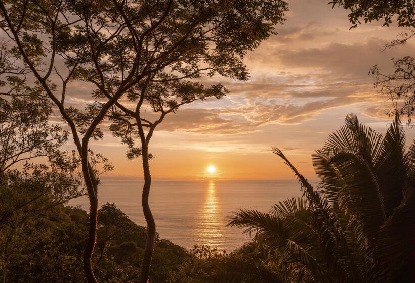 호텔 One&only Mandarina