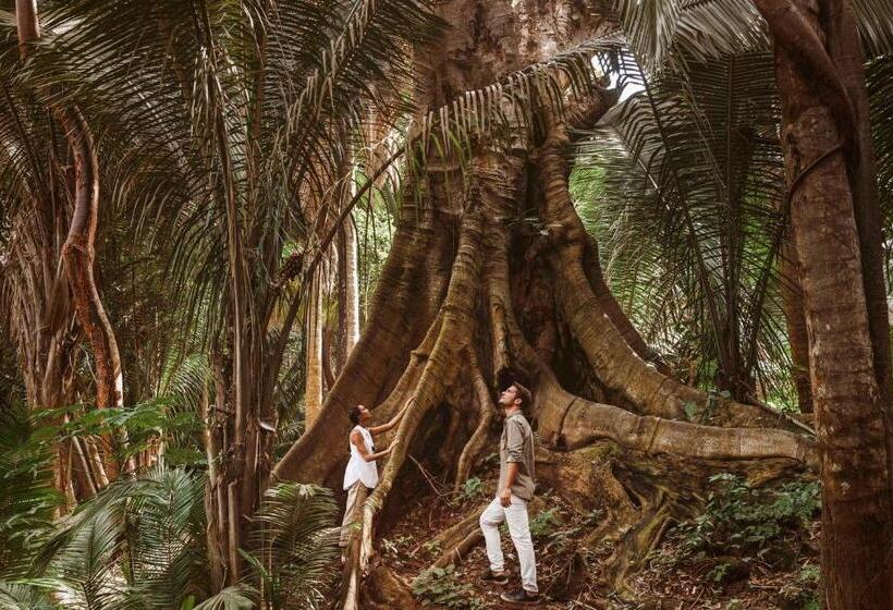 호텔 One&only Mandarina