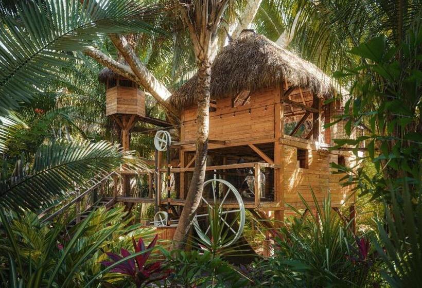 호텔 One&only Mandarina