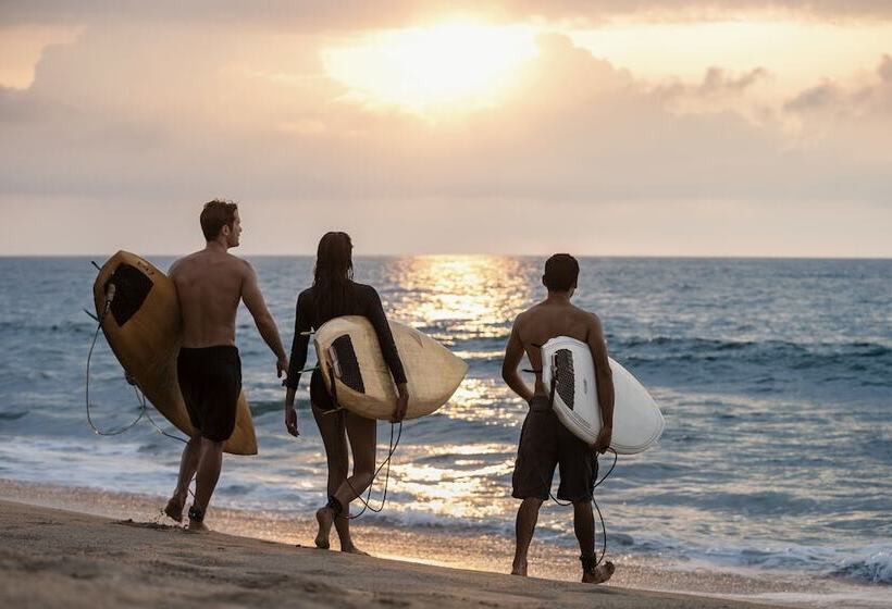 호텔 One&only Mandarina