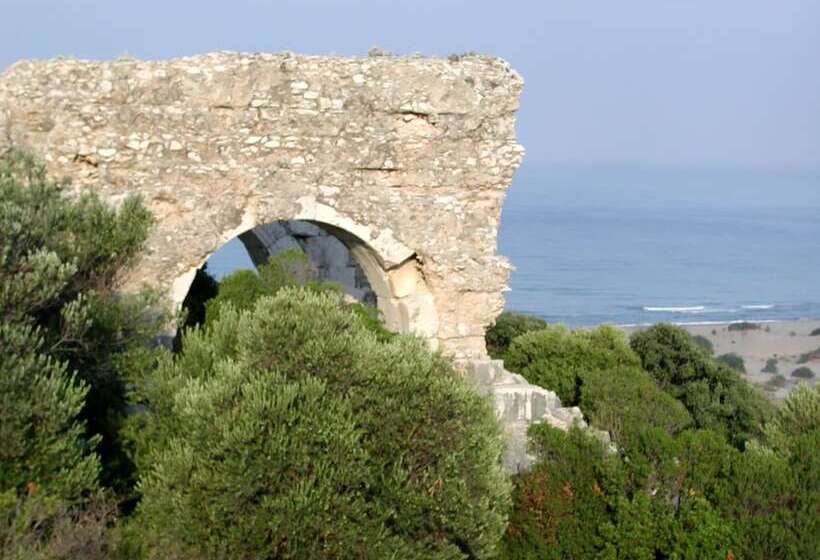 酒店 Patara Caretta