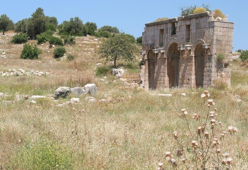 酒店 Patara Caretta