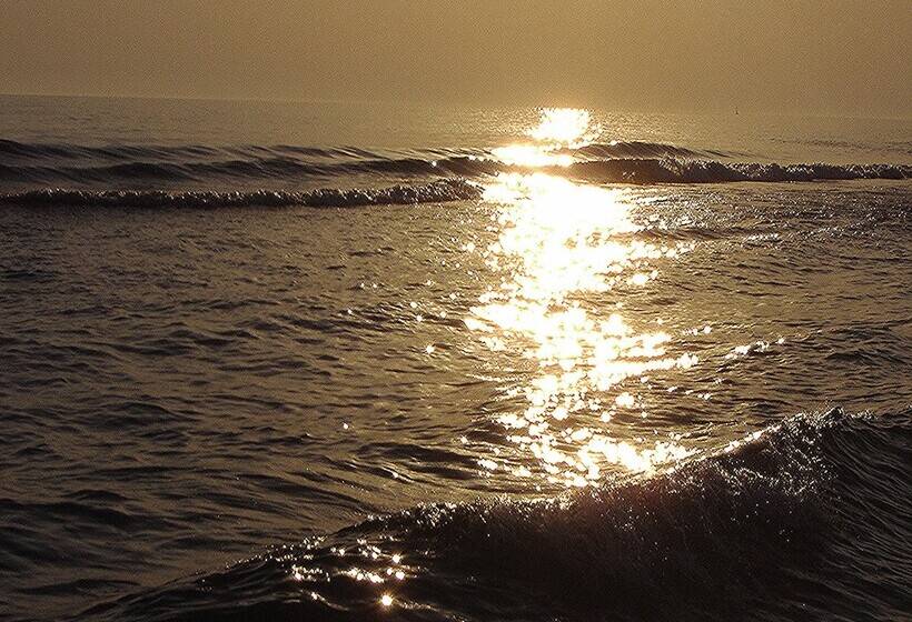 酒店 Patara Caretta