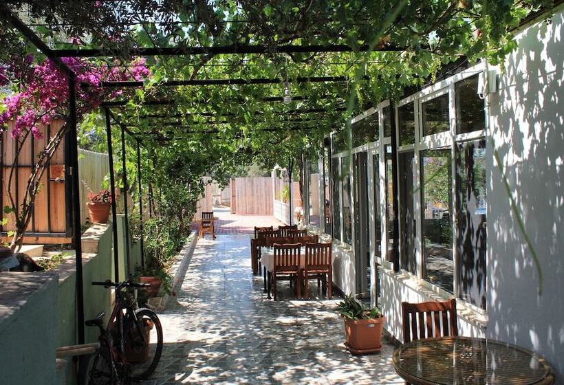 酒店 Patara Caretta