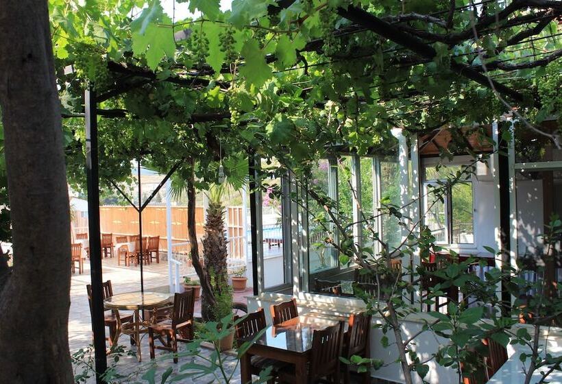 酒店 Patara Caretta