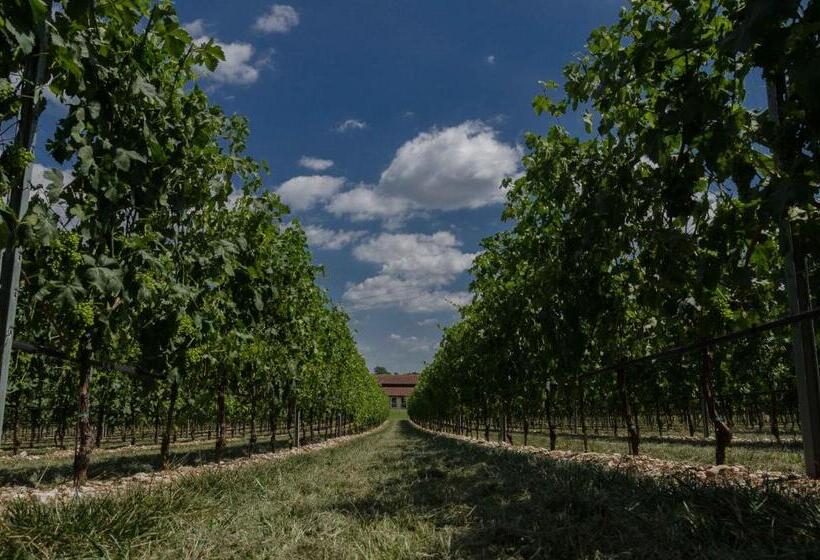 田舎風ホテル Agriturismo Corte Ambrosio